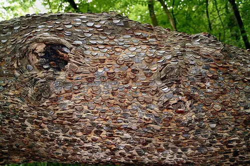 pennies in a tree