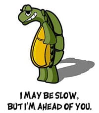 Slow tortoise with attitude