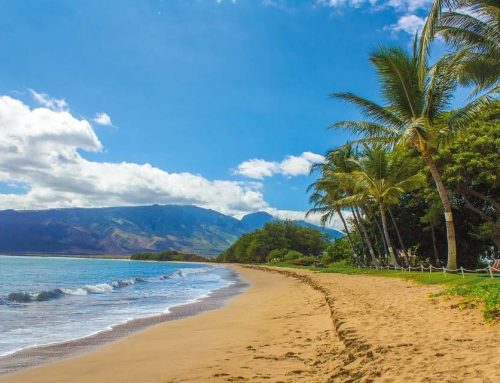 Only 24 People Finish 100 Mile Hawaii Marathon