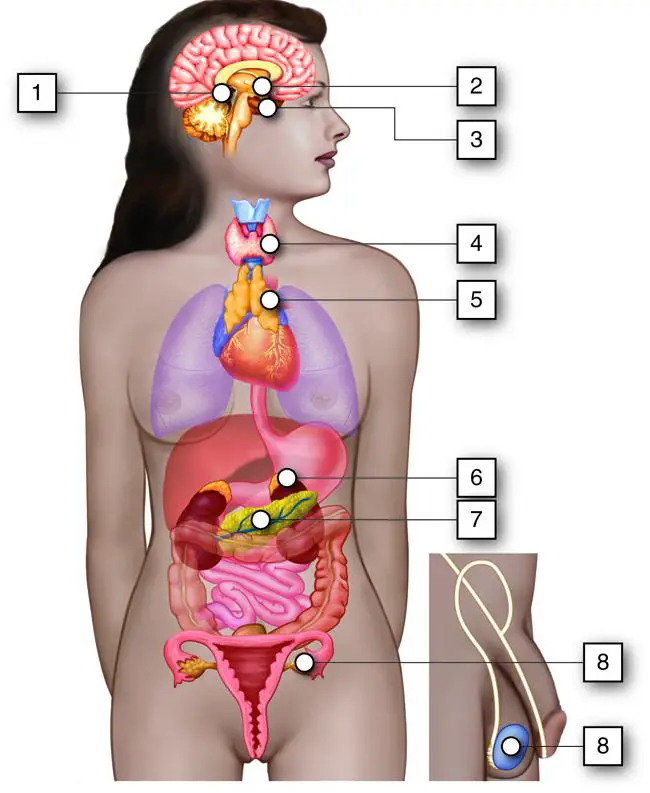 Boosting Immunity Through Exercise: The Facts