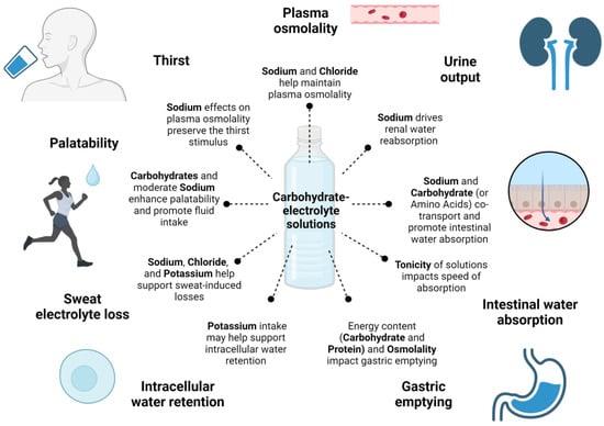 The Impact of Alcohol on Fitness and Sports Performance